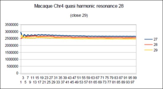  macaque chromosome4 quasi 29 Lucas resonance (29-1).