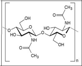 Chemical structure of    chitin.