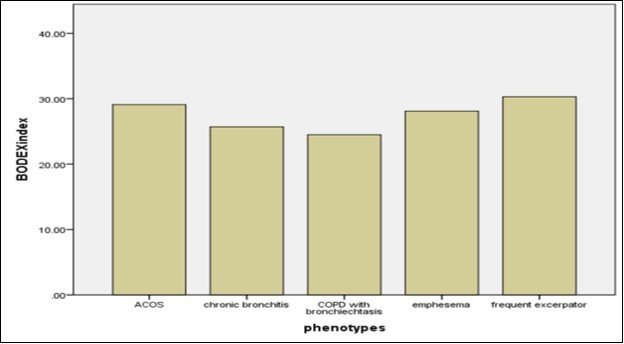  BODEX index of different COPD phenotypes
