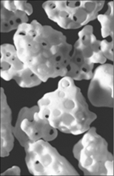  Rounded β-TCP granules of 2.6 – 4.8 mm in size, providing no sharp edges for combination with bone cement. Reprinted from Ref. 589 with permission.