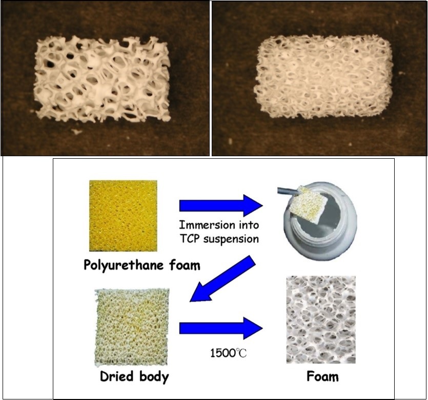  Photographs of a commercially available porous CaPO4 scaffolds with different porosity (top) and a method of their production (bottom). For photos, the horizontal field width is 20 mm.