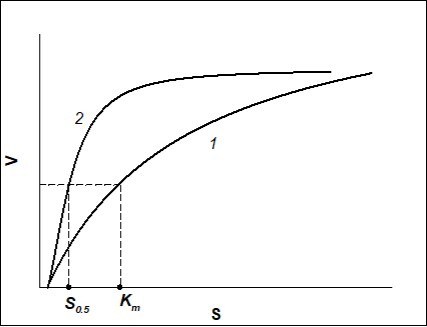  Dependence of the rate of enzymatic reaction (V)on the      initial substrate concentration (S) when Hill coefficient n=1                   (Michaelis-Menten kinetics) (curve 1) and when n>1 (sigmoid curve described by Hill equation, positive kinetic cooperativity) (curve 2).