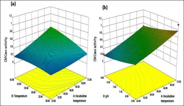  Response surface plots showing cumulative effect on cellulase (CMCase) production (a)           Maximum cellulase activity at 1 level of temperature and incubation time both (b) Highest cellulase           activity at -1 level for pH and 1 level of incubation temperature