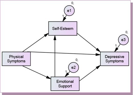  The initial/hypothesized path model with combined family & friend support