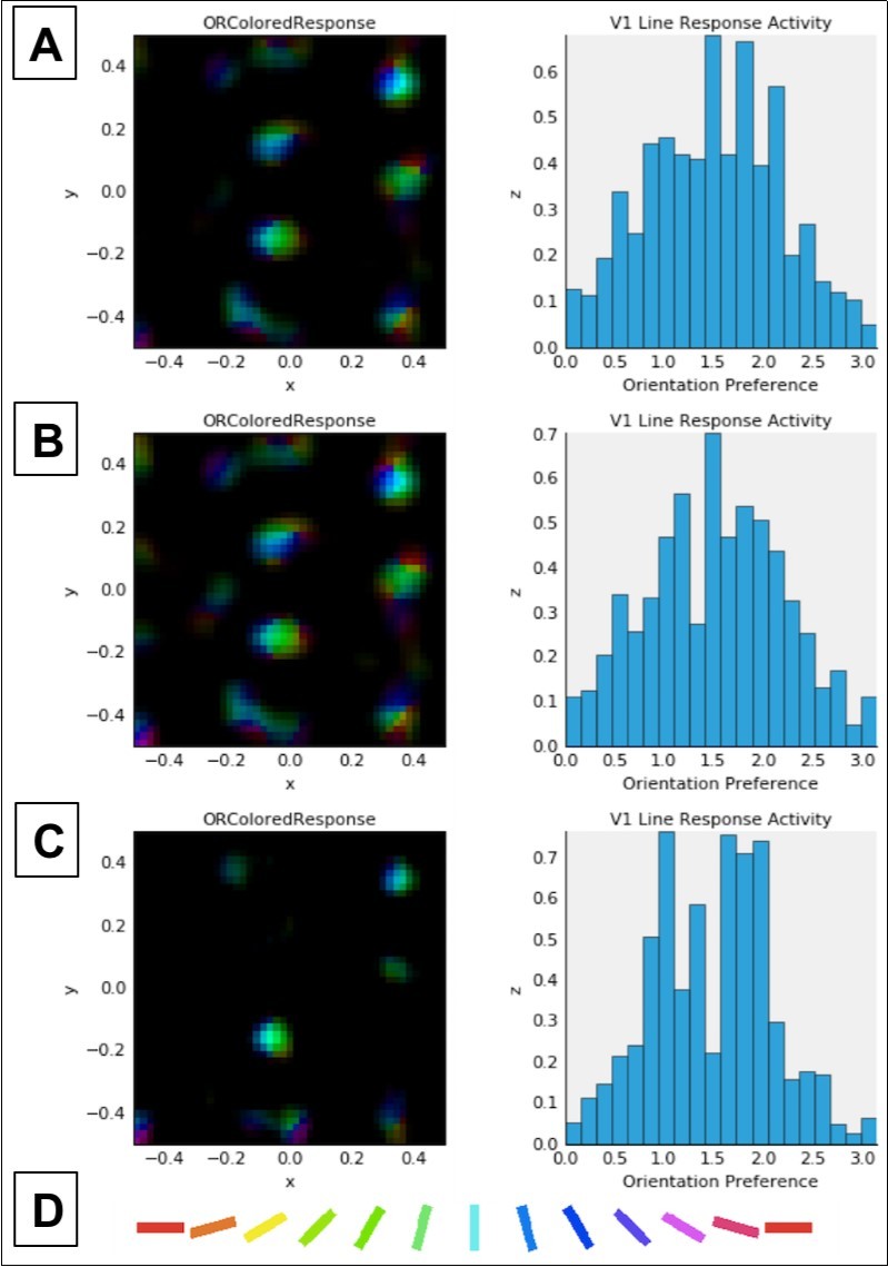 Combined activation and orientation preference maps (left column) and histograms showing activation of V1 neurons as a function of cell orientation preference (on x-axis, in radians) (right column). Data in both columns reflect activation in response to a single presentation of the LSF sine grating stimulus at 80% contrast (see Figure 2) after normal or abnormal model V1 development (see below). Each color in the maps in the left column corresponds to selectivity for the orientation denoted by the corresponding color in the key (D) at the bottom of this figure. Brightness corresponds to the firing rate of the neuron at a given location in the V1 sheet, which is retinotopic with respect to the LSF stimulus shown in Figure 2. In the histograms in the right column, the expected distribution peak for vertically oriented stimuli (see Figure 2) is π/2 or ~1.57 radians. A: Data for unmodified model after 20,000 iterations (same as in top row, Figure 3).  B: Data after 10,000 normal development trials followed by 10,000 trials adapting to 15% reduced retinal and LGN output