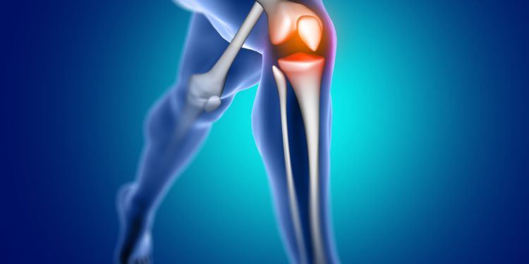  Journal of Sports and Exercise Medicine - Knee Septic Arthritis