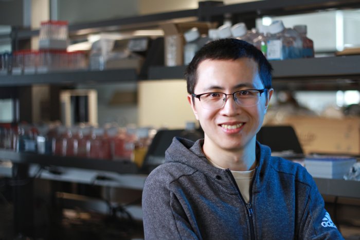 Song-Yang Zhang, Assistant Professor, School of Human Nutrition, McGill University