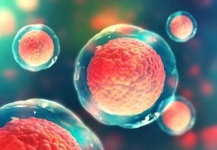 Journal of Evolving Stem Cell Research